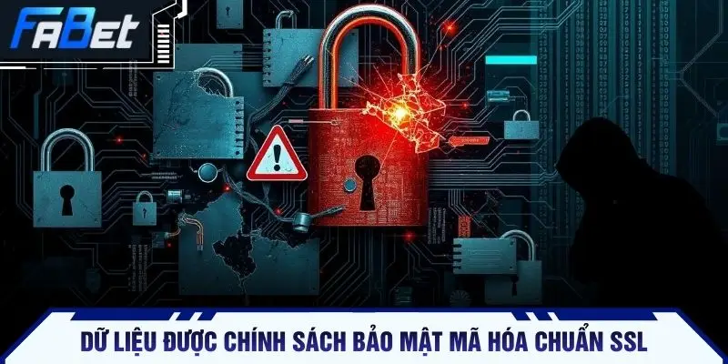 Dữ liệu được chính sách bảo mật mã hóa chuẩn SSL